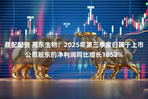 鼎配配资 苑东生物：2025年第三季度归属于上市公司股东的净利润同比增长1852%